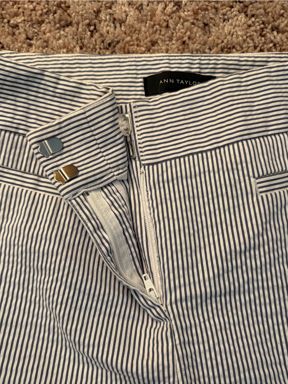 Ann Taylor Navy and White Pinstripe Ankle Pants